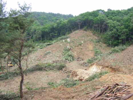 국가보훈처휴양원 지역에 공해배출공장이 훼손한 산림 이미지